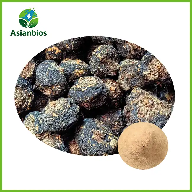 Cultivated Maca Powder